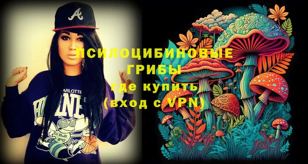 крисы Вяземский