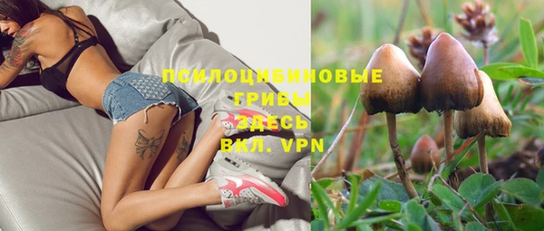 дживик Вязники