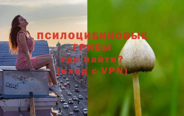 дживик Вязники