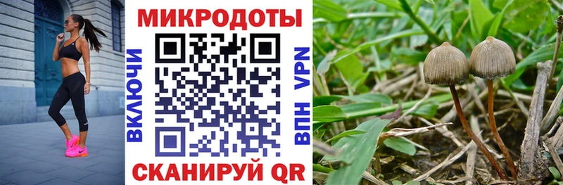 Купить закладки  Боровск  Псилоцибиновые грибы MAGIC MUSHROOMS 